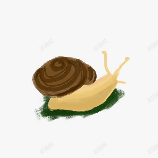 手绘卡通动物蜗牛png免抠素材_88icon https://88icon.com 动物 可爱蜗牛 小蜗牛 慢动作 爬行动物