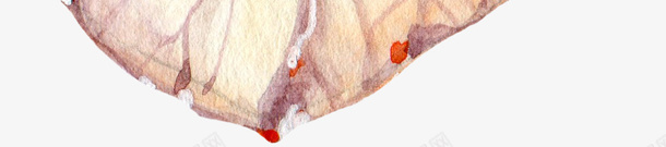 水彩树叶上的纹理png免抠素材_88icon https://88icon.com png图形 png装饰 树叶 植物 纹理 装饰