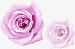 紫色花朵透明图案矢量图素材