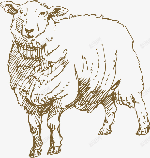 手绘小羊装饰png免抠素材_88icon https://88icon.com 卡通有趣 可爱 小羊 手绘图 矢量图案 设计图