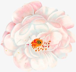 油画植物淡粉色花朵素材