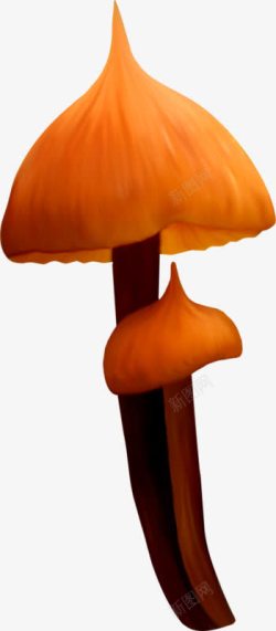 尖头蘑菇伞素材