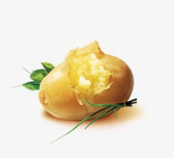 蒸熟蒸熟的土豆高清图片