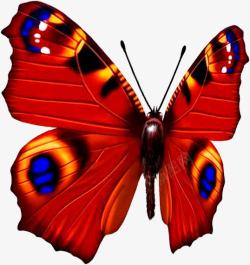 扁平手绘合成红色的蝴蝶素材
