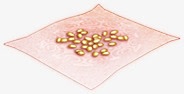 金豆子手帕游戏图标图标