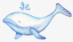 清新森系水彩可爱鲸鱼素材