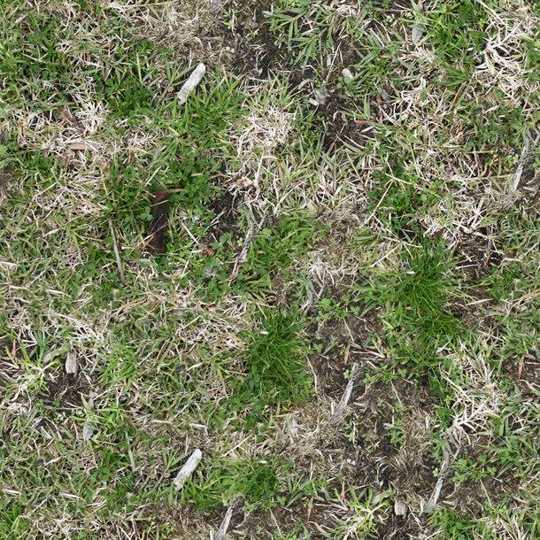 地上的草jpg设计背景_88icon https://88icon.com 图片素材 地上的草图片 地上的草图片素材下载 底纹背景 植物 绿色 背景花边 草地