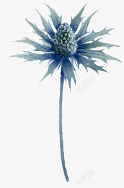 绿色手绘的植物素材