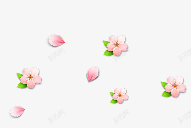 粉色清新鲜花漂浮png免抠素材_88icon https://88icon.com 免抠PNG 清新 漂浮素材 粉色 鲜花