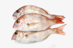 中华料理海鲜鱼素材