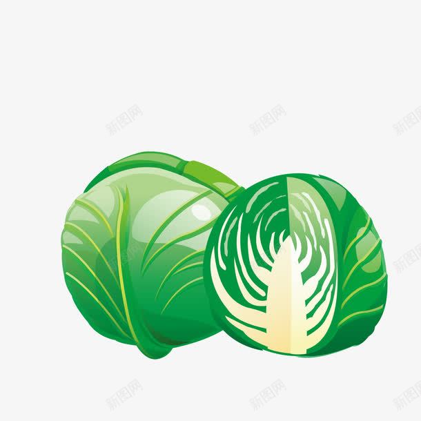 绿色卡通包菜产品食物png免抠素材_88icon https://88icon.com 包菜 卡通蔬菜 手绘蔬菜 白菜 绿色白色 蔬菜