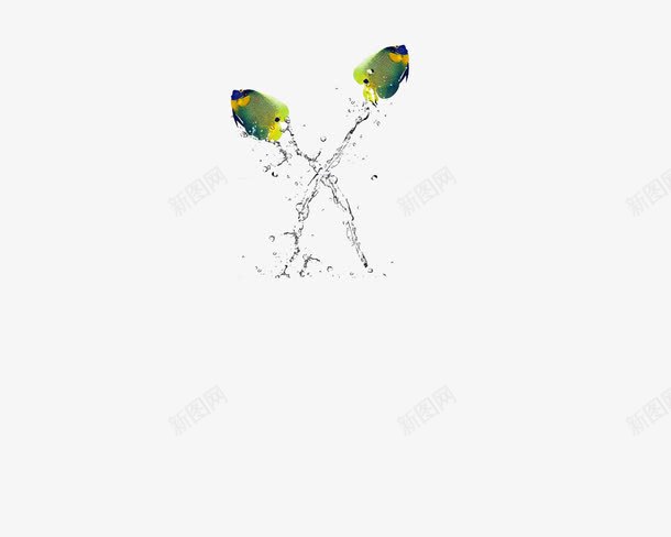 跳跃的鱼png免抠素材_88icon https://88icon.com 两条 从水中跳跃 呼吸 自由 跳跃的鱼