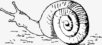 动物手绘蜗牛矢量图图标图标