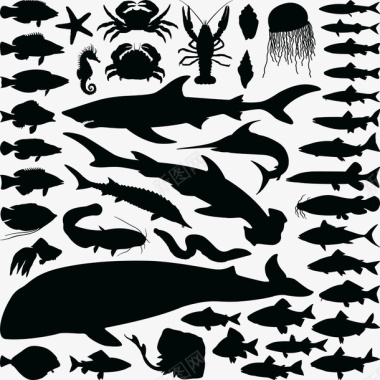 海洋鱼图标图标