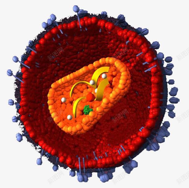 生物医学细胞图形png免抠素材_88icon https://88icon.com 医学 医学细胞 生物 研究 科研 红色