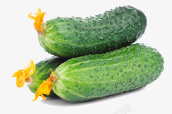 瓜皮新鲜的大黄瓜高清图片