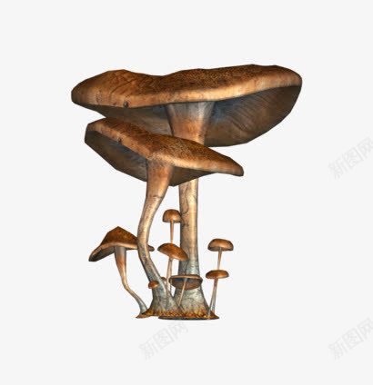 蘑菇形状png免抠素材_88icon https://88icon.com 卡通 形状素材 素材 蘑菇素材