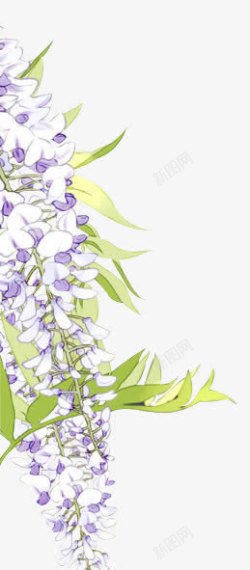 手绘清新紫色花朵素材