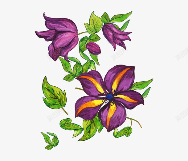 手绘紫色花朵png免抠素材_88icon https://88icon.com PNG 手绘 水彩 紫色 花卉