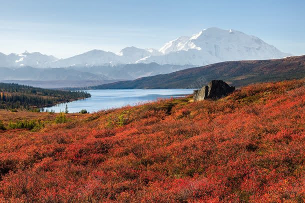 红色的花海与山与水jpg设计背景_88icon https://88icon.com 红色 花海