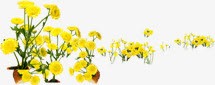 创意海报教师节黄色花朵素材