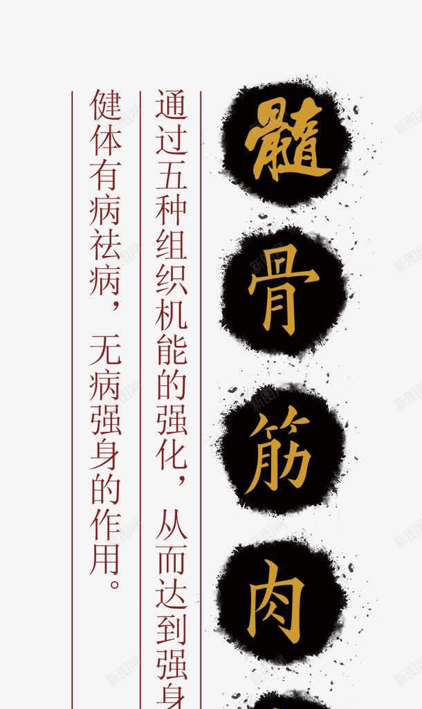 中医养生骨髓筋肉皮png免抠素材_88icon https://88icon.com 中医 养生 内脏 器官 筋肉皮 老中医 骨髓