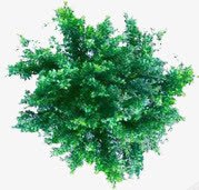 创意绿色植物合成效果png免抠素材_88icon https://88icon.com 创意 合成 效果 绿色植物