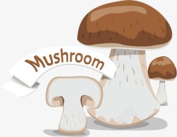 蘑菇菌类蔬菜素材