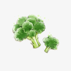 手绘的西兰花素材