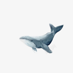 水彩鲸鱼素材