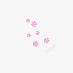 飘落的粉色母菊花瓣花朵素材
