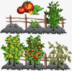 蔬菜种植素材