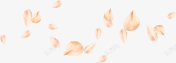 粉色花瓣背景png免抠素材_88icon https://88icon.com 粉色 背景 花瓣 装饰