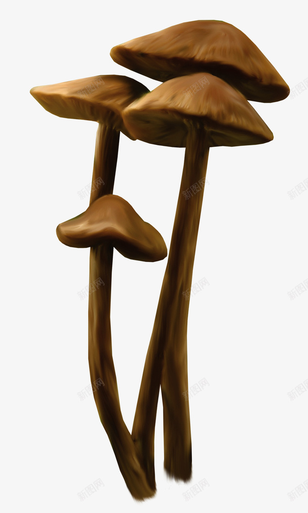 棕色漂亮小蘑菇png免抠素材_88icon https://88icon.com 小蘑菇 棕色蘑菇 漂亮蘑菇 蘑菇