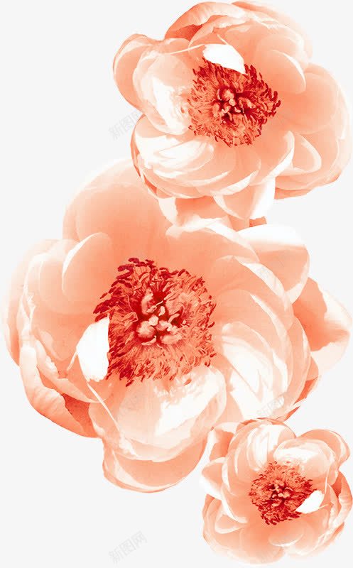 两朵白色的的花png免抠素材_88icon https://88icon.com 创意 图案 手绘 水彩 花朵 装饰