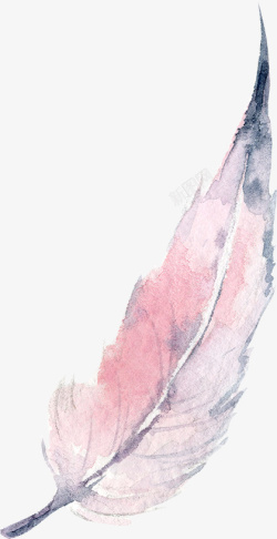 粉色手绘的羽毛装饰素材