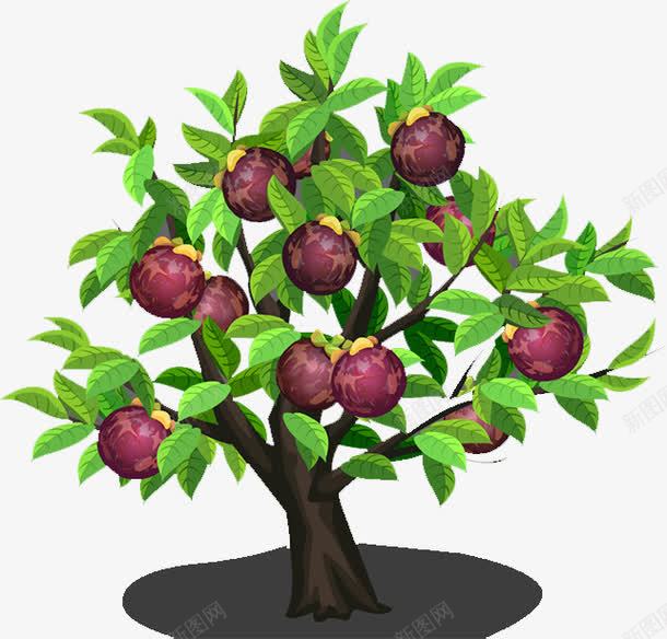 手绘山竹树png免抠素材_88icon https://88icon.com 山竹 植被 绿叶 装饰 风景