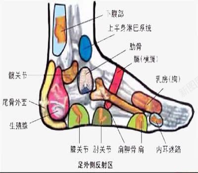 足疗穴位图png免抠素材_88icon https://88icon.com 健康 养生 足疗