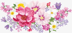 装饰图案海报元素花卉淡粉色矢量图素材