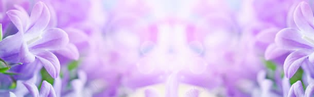 零食手绘背景jpg设计背景_88icon https://88icon.com 背景 零食