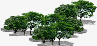 创意摄影绿色树林png免抠素材_88icon https://88icon.com 创意 摄影 树林 绿色