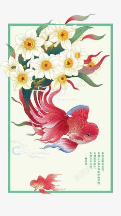 黄蕊红色锦鲤高清图片