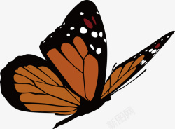 可爱的花蝴蝶创意卡通花蝴蝶矢量图高清图片