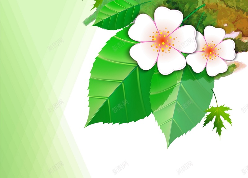 油漆喷溅矢量图ai设计背景_88icon https://88icon.com 喷溅 墨水 水墨 水彩 油墨 油漆 笔刷 纹理 绿色 花朵 质感 矢量图