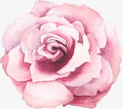 水彩手绘粉色花朵玫瑰花素材
