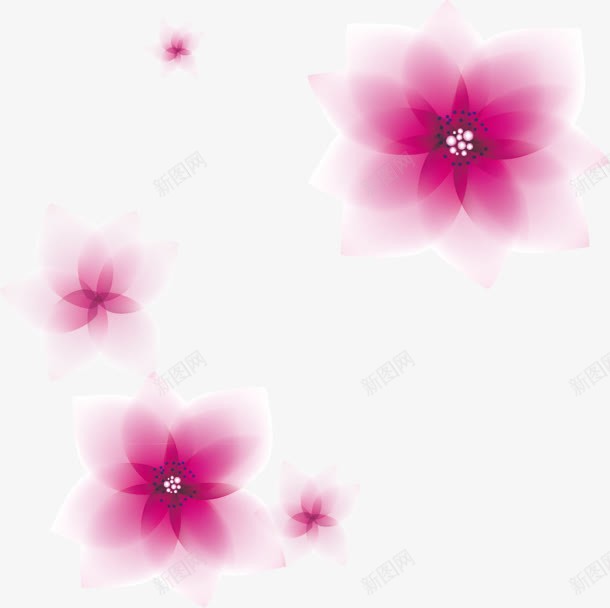 背景花水红色花png免抠素材_88icon https://88icon.com png 素材 红色 背景