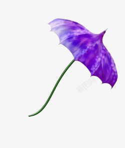 紫色手绘创意花瓣散素材