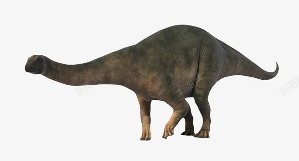大体积3D恐龙png免抠素材_88icon https://88icon.com 3D恐龙 动物 大体积3D恐龙 恐龙 温和恐龙 肉食动物 长脖子恐龙
