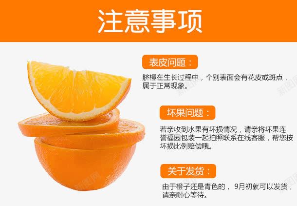 橙子片水果png免抠素材_88icon https://88icon.com 橙子片 水果 水果注意事项