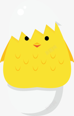黄色可爱蛋壳小鸡素材